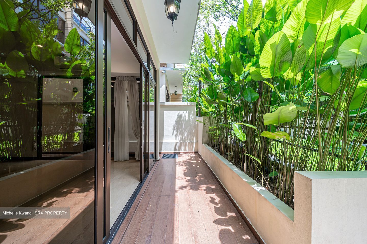 Holland Link (D10), Terrace #503034731